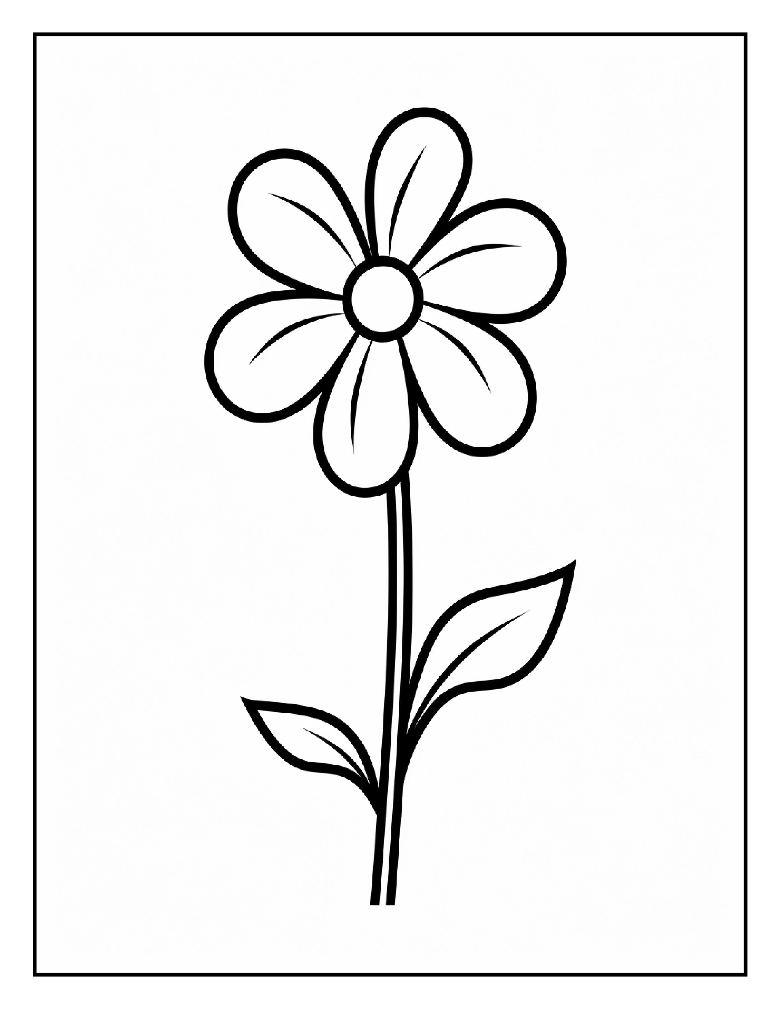 Digital Download • Free Coloring Pages!